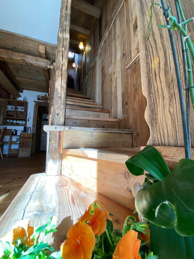 Calore Di Una Casa Di Montagna Campitello di Fassa Buitenkant foto